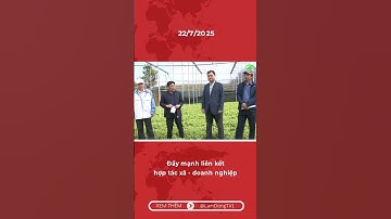 Đẩy mạnh liên kết hợp tác xã - doanh nghiệp