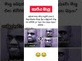 කාපිය මාලු 😂