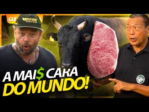 Vídeo: Qual é A Carne Mais Cara Do Mundo