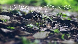 Natural Cinematic Video Sony A58 Slr Camera This Video Is Sponsored By Wbskad