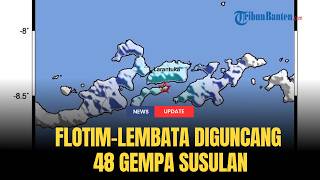  Bmkg Ntt Catat 48 Gempa Susulan Pasca Gempa Bumi Di Flotim Dan Lembata