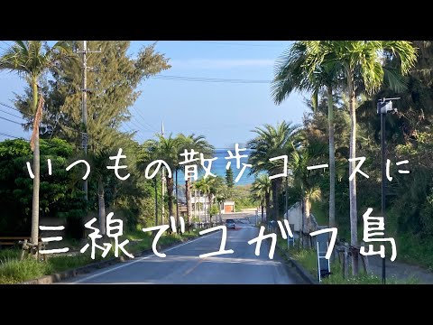 海と沖縄(散歩コースに三線被せてみました)