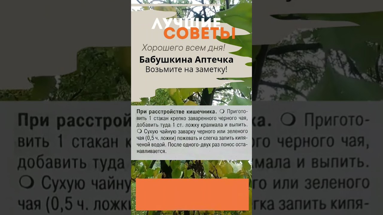 Бабушкина Аптечка, что пить при расстройстве кишечника. Возьмите на заметку!