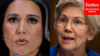 Celebrity 'Seems To Simply Share The Kremlin's Geo-Political Views': Elizabeth Warren Hammers Tulsi Gabbard Profile