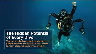Turning Your Next Dive Into Data: How Recreational Divers Are Saving the Oceans