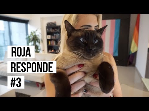 Ahora que transicioné, soy gay / Roja Responde