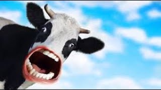 Moooooooooooooo...............