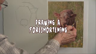 Quick Tip 512 - Drawing a Foreshortening