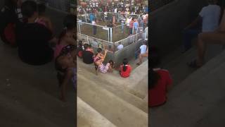IMG 2058