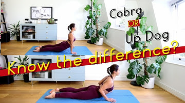 Cobra or Up Dog - Do you know the difference? Learn it here in under 2 minutes!