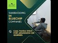 Understanding Shareholding in Blue Chip Companies - Bull Street Institute #ytshorts #shorts
