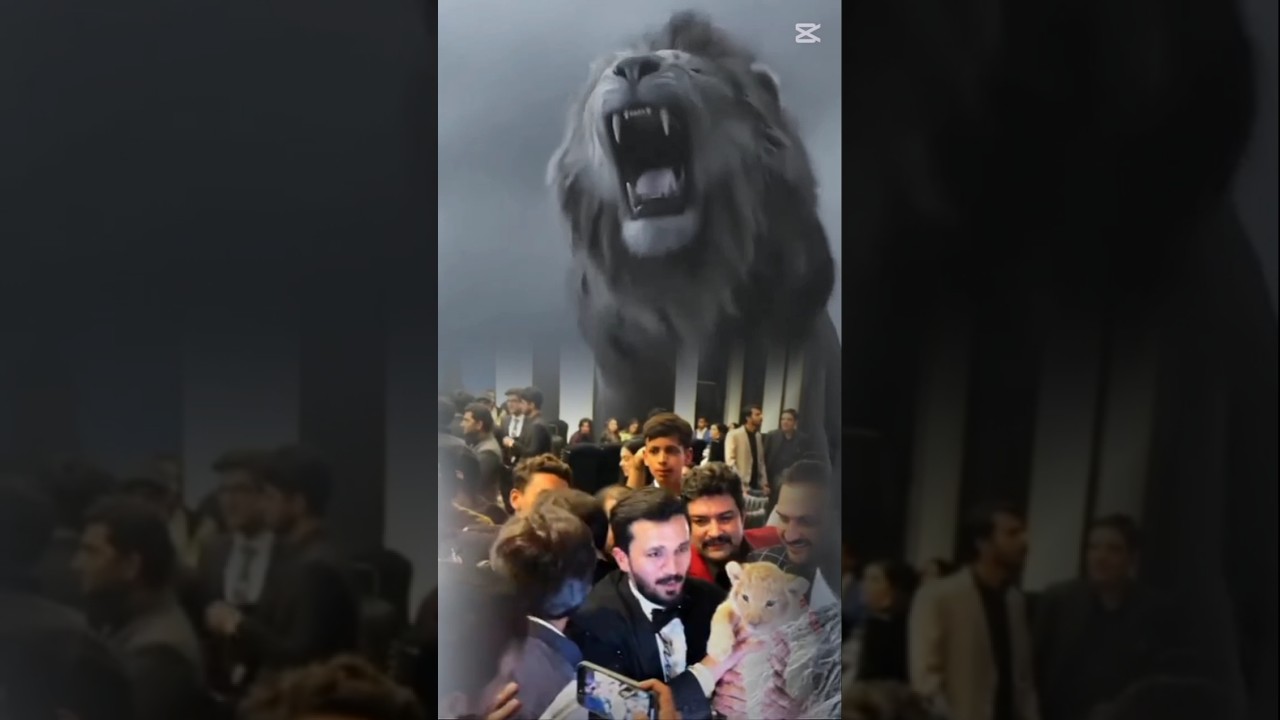 Rajab butt ko lion mil gaya  