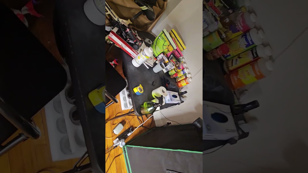 Spider farmer se 3000 viparspectra p2000 7 autoflowers grow....