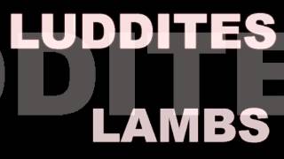 Luddites and Lambs- Everything Everything | Fan Made Video