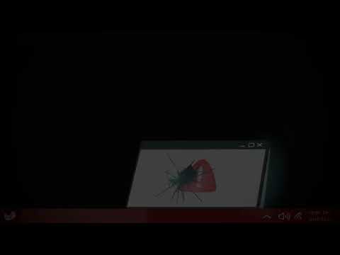 The Standard Withdrawal Timeline at Spinkings