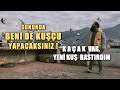 YENİ KUŞ BASTIRDIM, UÇURDUM: KAÇAK VAR!