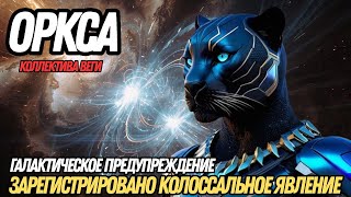 картинка: КОРАБЛИ ПРИБЫЛИ, ОНИ УЖЕ ЗДЕСЬ! | ОРКСА ИЗ КОЛЛЕКТИВА ВЕГИ