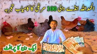 100 Golden Misri Murgi sy Daily Profit | Ali Bhai Poultry Farm Sargodha