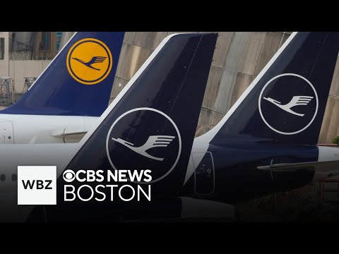 Passenger on international flight accused of stabbing 2 teens with fork