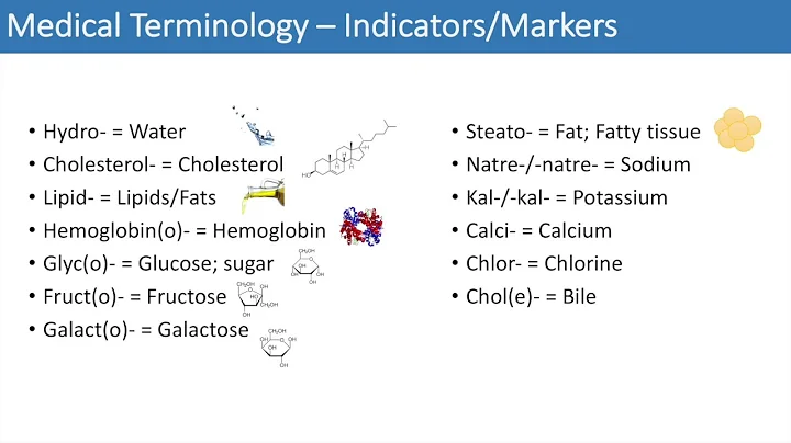 Medical Terminology - The Basics - Lesson 3