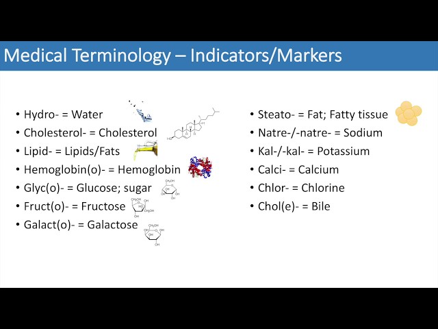 Medical Terminology - The Basics - Lesson 3 class=