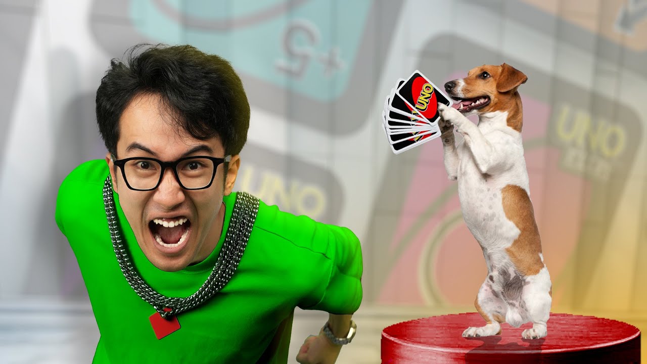 CON CHÓ SUÝT THẮNG TRONG UNO