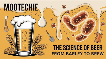 Beer Processing Technology: The Science of Brewing (Malting, Mashing & Fermentation) | Mootechie