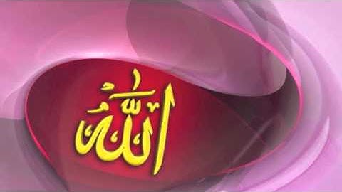مشعل المطر ما تيسر من سورة البقره