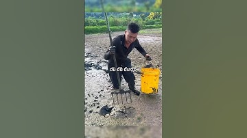 Người đàn ông mặc kệ lời cảnh bảo của cháu để bắt cá sấu và cái kết 😳