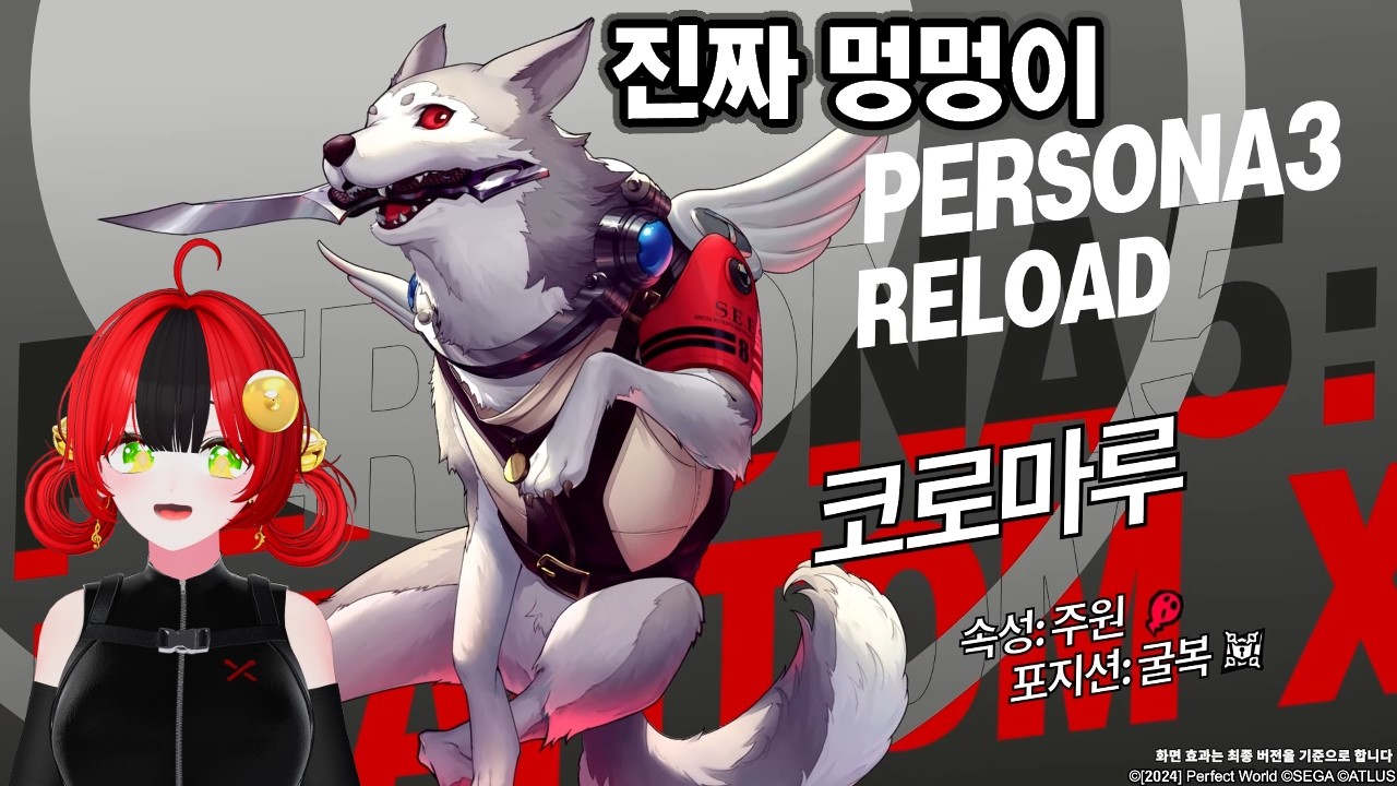 [페르소나5: 더 팬텀 X] 진짜 쉬움! 강아지도 쓸 수 있는 괴도 영상 l 코로마루 4.8.2 버전 「설백색 충견의 포효」 PV【PERSONA 5: The Phantom X】