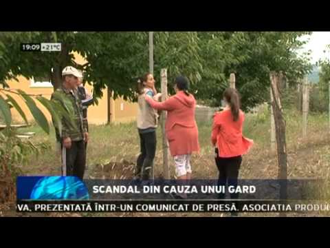 Video: Cum Se Face O Plasă De Plasă Opacă? 40 De Fotografii Cum Să închizi Gardul De La Vecini? Plase De Camuflaj Umbrite. Ce Să Plantezi De-a Lungul Gardului?