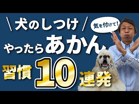 犬のしつけでやってはいけない「飼い主の行動」10選【犬のしつけでやったらあかん！10連発】