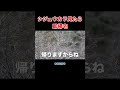シジュウカラ見つけたら即帰宅する探鳥