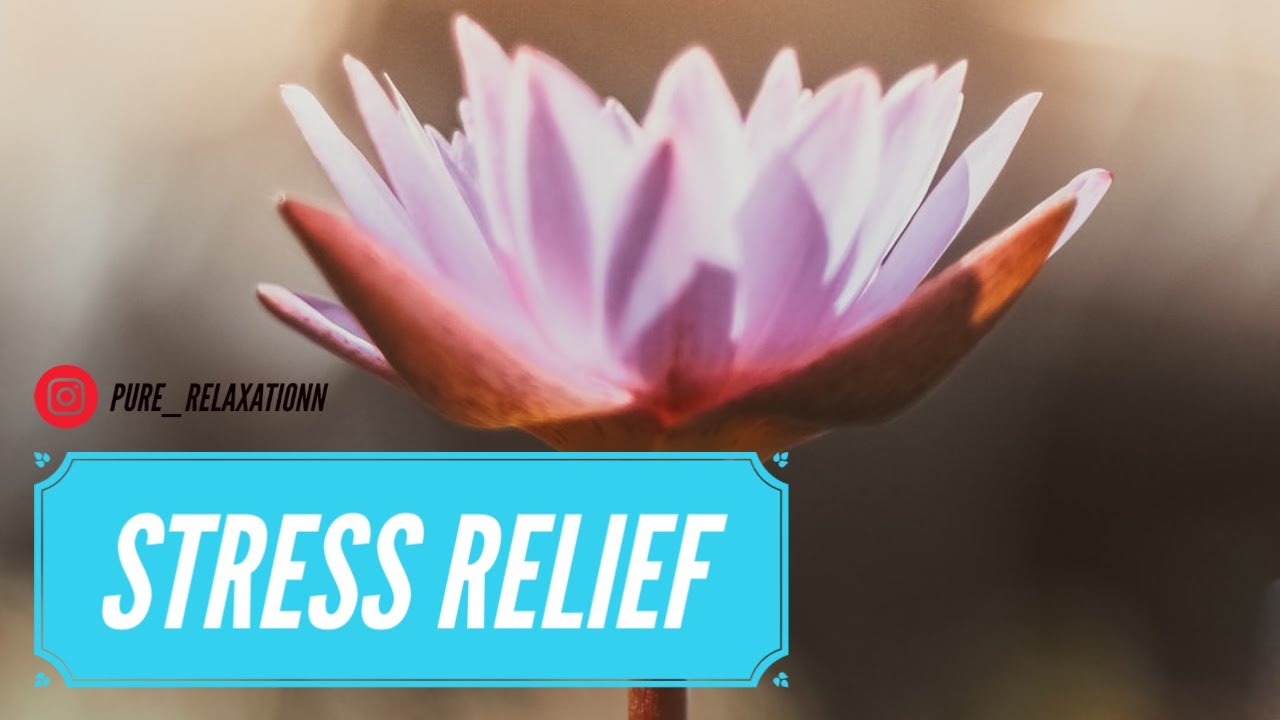 HOW TO EASE STRESS!! (Relaxing, Stress Relief, Anxiety Relief, Sleep