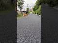 不二子待ち #柴犬 #dog #パグ #わんこ #pug #pet #doggie #shibainu #puglife #癒し #walking #お散歩 #healing #shibadog
