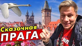 видео: ПРАГА: что посмотреть в Чехии за 1 день? Достопримечательности и популярные места Праги. Тревел влог картинка: ПРАГА: что посмотреть в Чехии за 1 день? Достопримечательности и популярные места Праги. Тревел влог