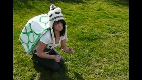 Aesop's Fables: The Tortoise and the Hare