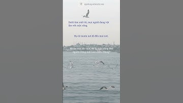 Ngô Đồng Viết | Ước mơ điên rồ nhất của bạn là gì?