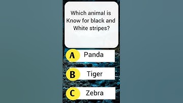 General Knowledge Quiz: Test Your IQ with These Questions 🧠