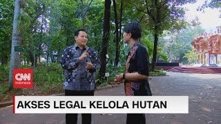 Akses Legal Kelola Hutan - Insight With Desi Anwar