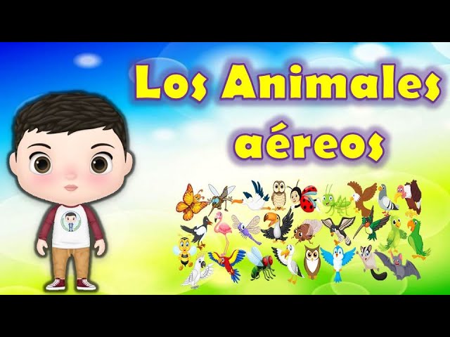 🐝los animales aereos para niños - video educativo para aprender los  aniamles aereos🐝 - thptnganamst.edu.vn