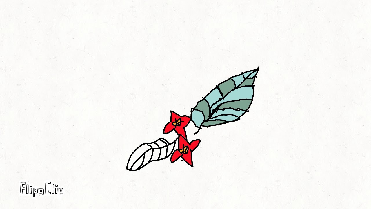 Flowers!Flowers!In the Air Flowers,Flowers Everywhere YouTube