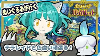 【ポケモン バイオレット】色違いとテラレイド！
