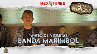 🎥 Banda Marimbol - Ramito de Violetas (Video Oficial) Retro Quebraditas 4K