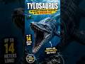 Tylosaurus - The Giant Sea Predator You Would Never Escape