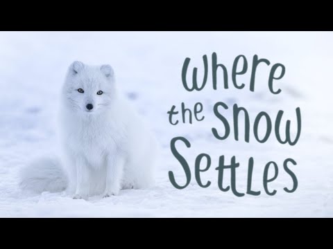 Letu0027s play Where the Snow Settles: part 1