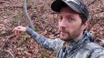 Deer Scouting Pennsylvania Public Land Part 1(Video)