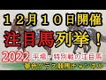 【注目馬列挙・平場予想】2022年12月10日JRA平場特別戦！素質馬揃ったつわぶき賞はこの馬！リゲルステークスはこの馬の2戦目狙い！