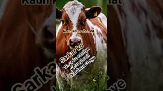 #imsian gorment plss no kill cow and busness
