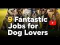 9 Fantastic Jobs for Dog Lovers